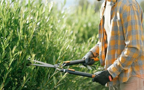  Must-Have Tools for Beginner Gardeners from Hoselink